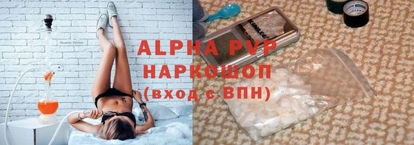 индика Беломорск